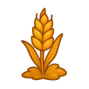 Wheat